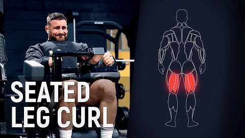 Seated Leg Curl