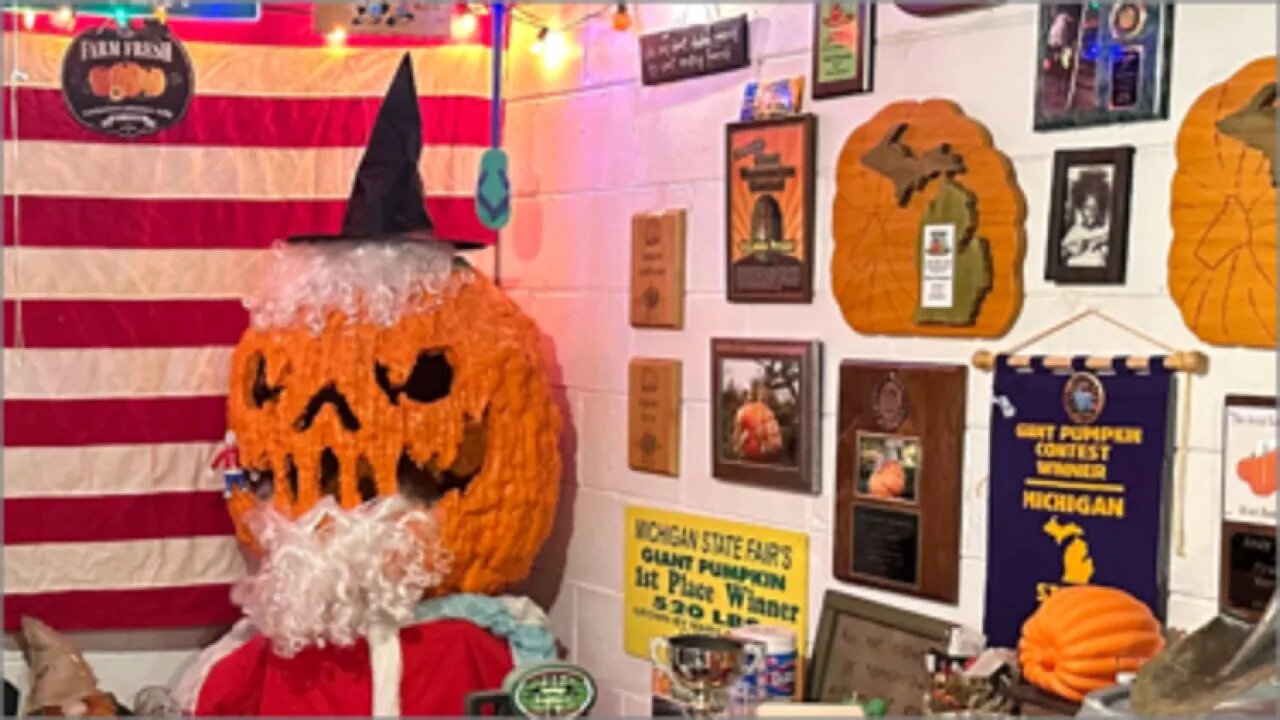 Giant Pumpkin Free seeds last chance