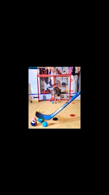 I need this kind of focus #shorts