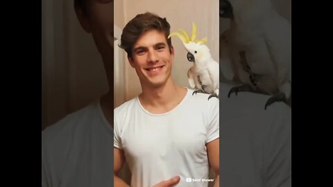 Just Get a Bird Bro
