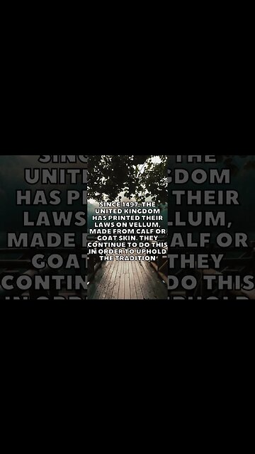 Incredible Random Facts That Will Expand Your Mind! [2023] #shorts #facts #viralshorts #fyp #life