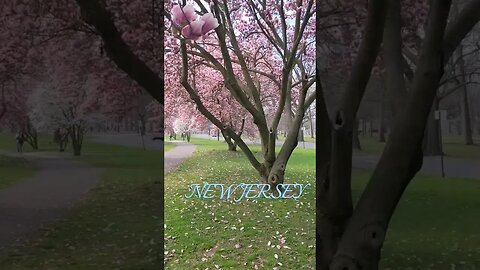 Spring time