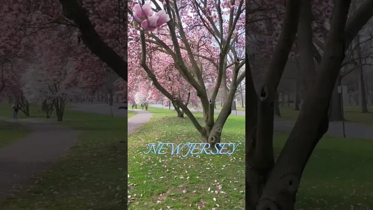 Spring time