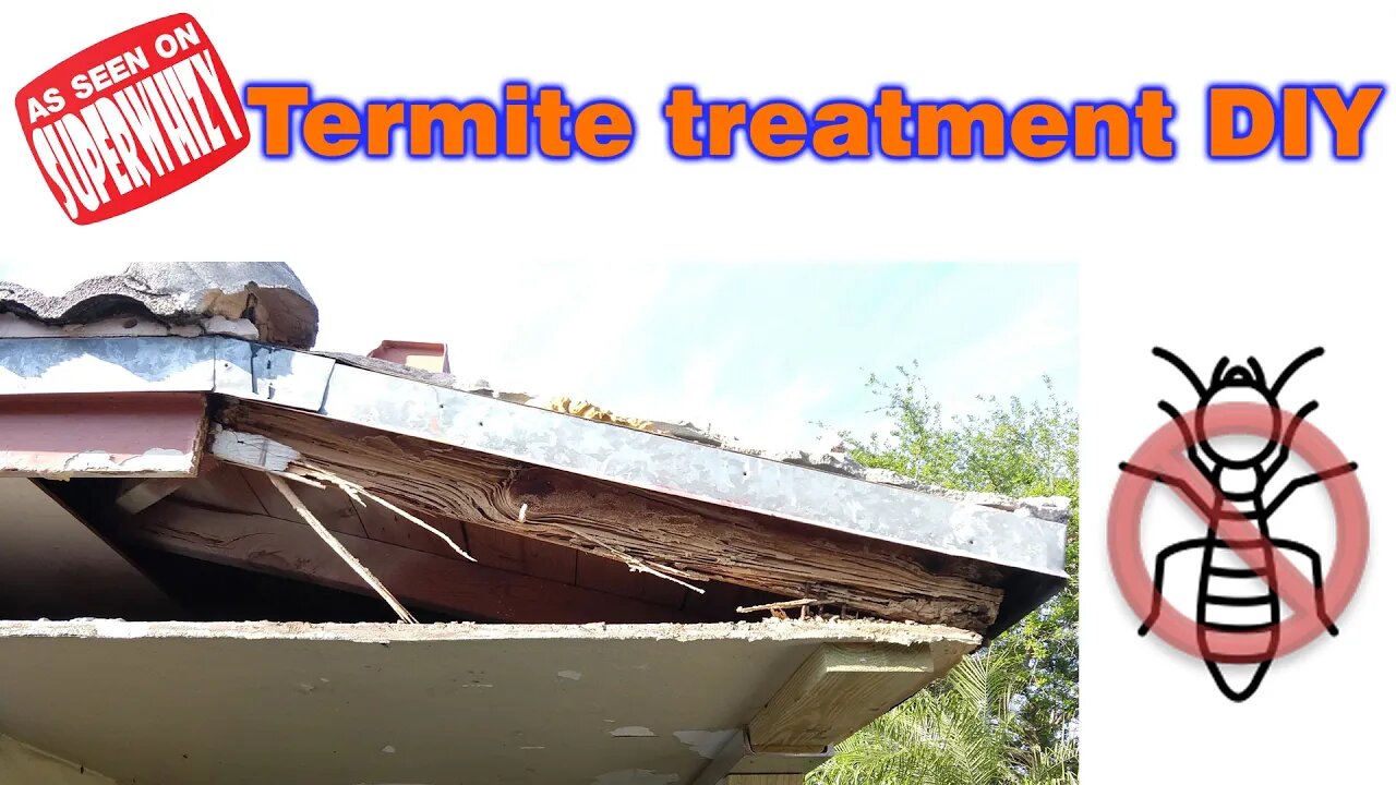 Termite treatment DIY