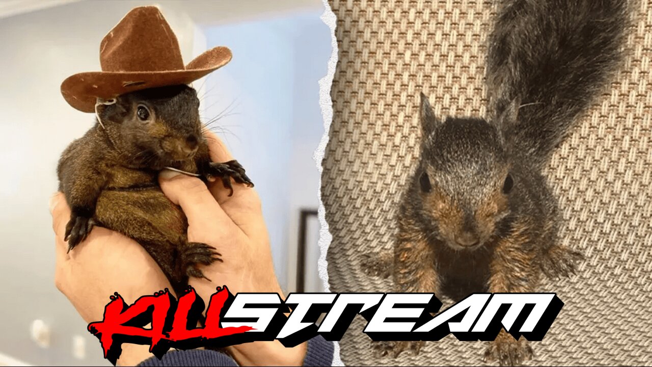 KILLSTREAM BONUS: PEANUT'S REVENGE, TRUMP LIVE, + ELECTION COVERAGE