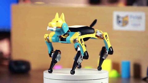 Cão Robô Petoi Bittle