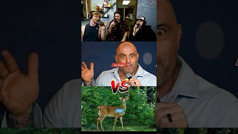 joe rogan vs deer 🤣 #shorts #comedy #funny #funnymoments #whowillwin