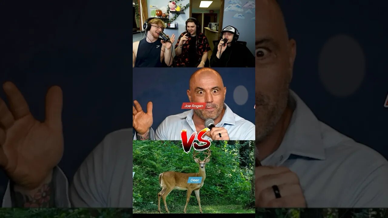 joe rogan vs deer 🤣 #shorts #comedy #funny #funnymoments #whowillwin