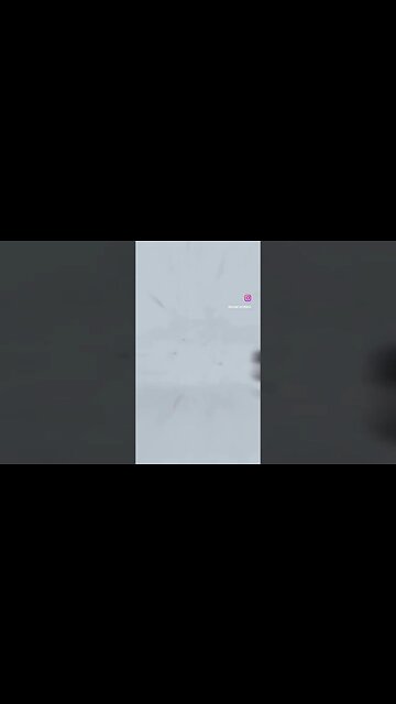 Lots of joy on our farm this morning as the first round of this years baby chicks were welcomed home