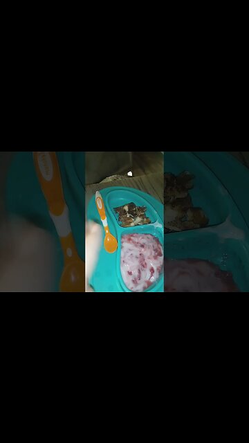 loves french toast with Manuka honey. and 🍓 compote yogurt.