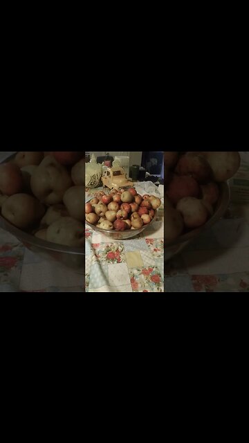 Abundance from nature, a nice surprise #shorts #abundance #surprise