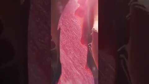 Inside of Your Heart / full details animation.