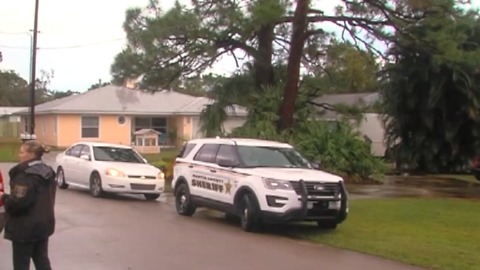 One person shot, one person in custody in Martin County
