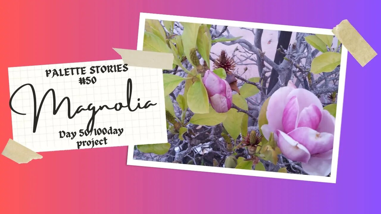 day #50/100 Magnolia flowers the art journey #unsplash #pexels #palettestories
