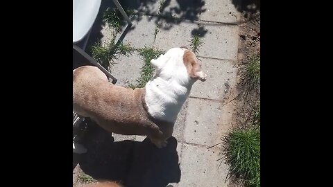 Winnie can sing so beautiful, I love it...