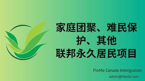 This video is about家庭团聚、难民保护、其他 联邦永久居民项目