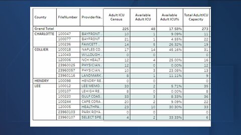 Local bed numbers at Southwest Florida Hospitals