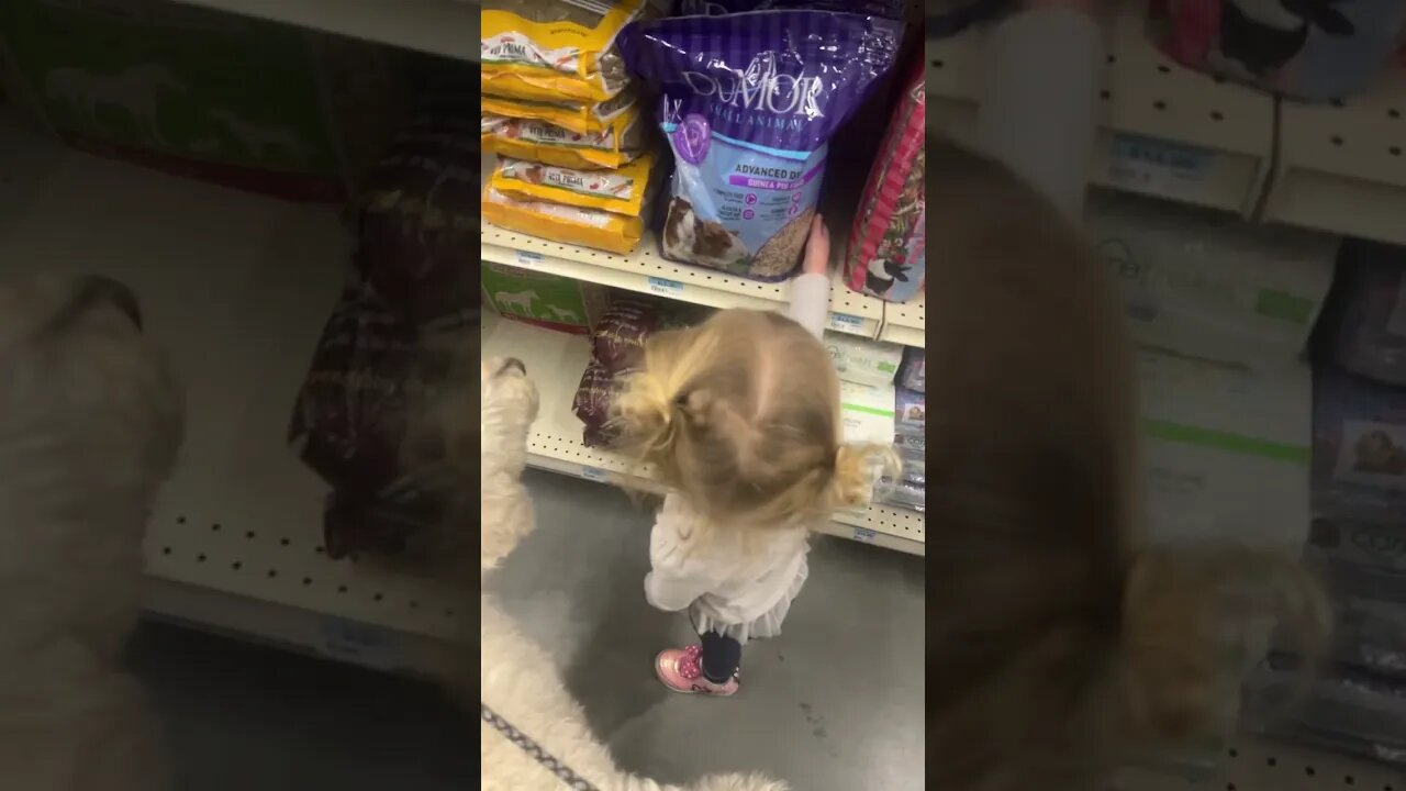 Getting Rabbit Food with Doggies and Family