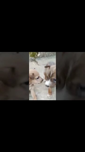 Help them understand...