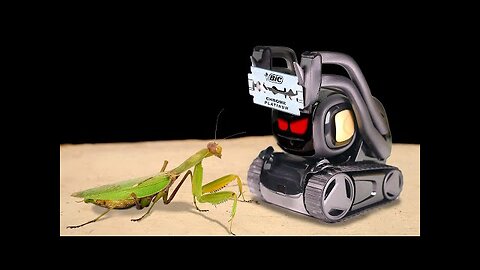 THE ROBOT ANKI VECTOR and MANTIS! ARTIFICIAL INTELLIGENCE and MANTIS