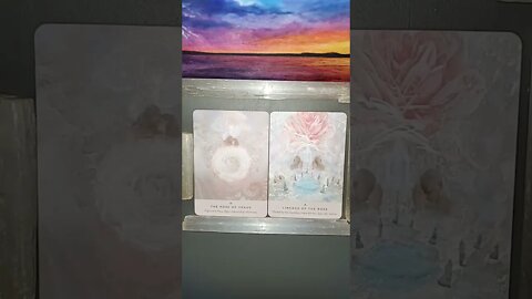 The 🌹 Of Venus & Lineage Of The 🌹! 😇😘🥰