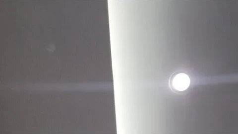 PLAYING CAT VIDEO MEAWWW