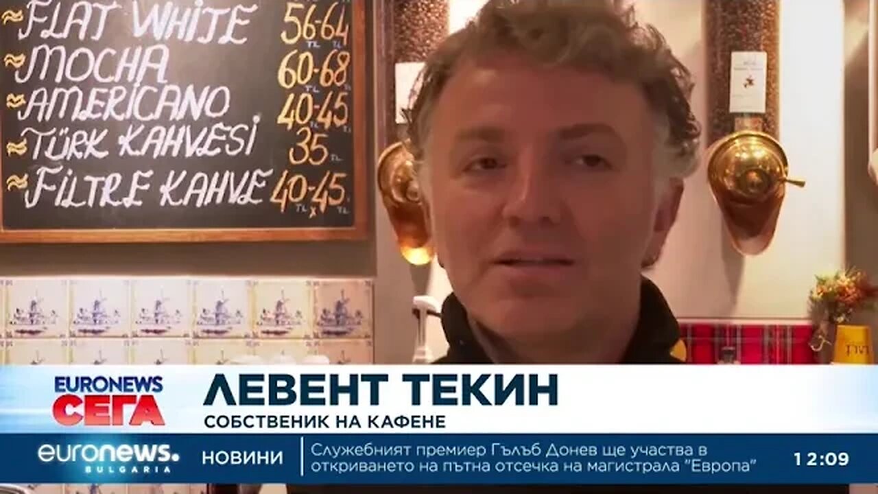 Как живеят половин милион бездомни котки и кучета в Истанбул