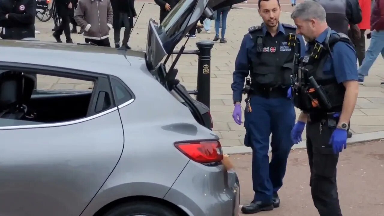 sniffer dogs search car at the gates of buckingham Palace part 2 10 November 2022 #armedpolice