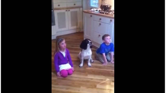 Dog Loves Performing Tricks With Her Human Siblings