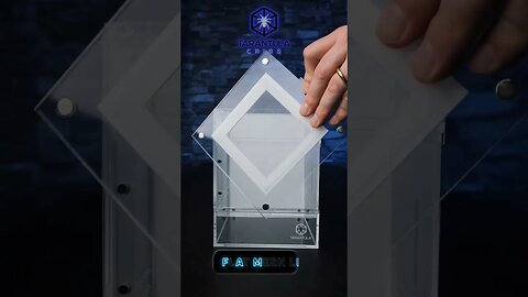 This will CHANGE the Tarantula Enclosure Game!