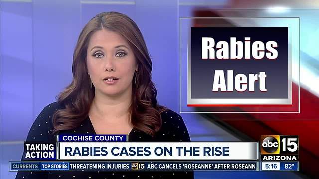 Cochise County sees sharp rise in wildlife with rabies