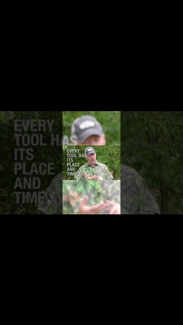 Public Land Tips #deer #deerhunting #short