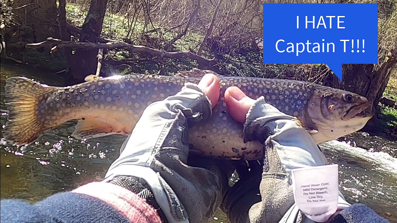 The Striper Blues Journal - Video Log 63 - 03-30-21 - The "T" in Captain T is for TROUT!!!