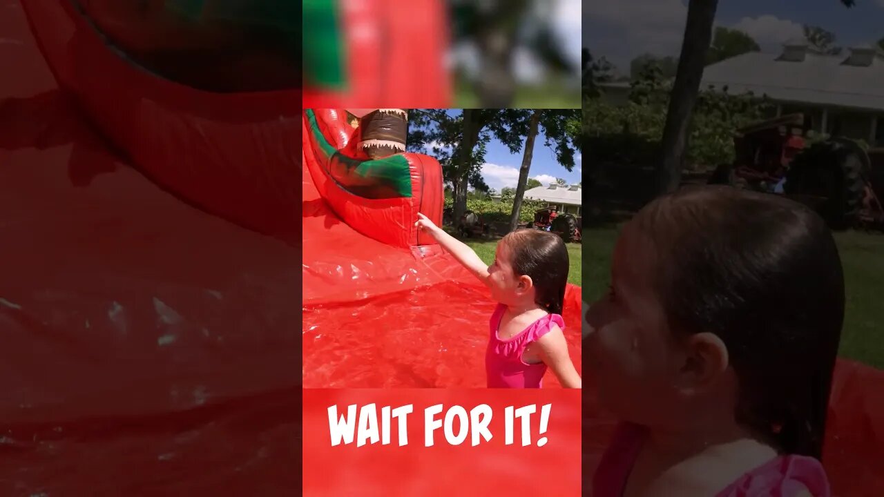 #shorts | BEST BARBIE BIRTHDAY PARTY | INSANE WATERSLIDE TRICK SHOTS | CIWTG