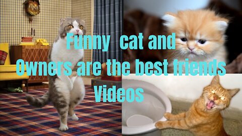 petsgarden| Funny and Cute Cat's Life Cats and Owners are the best friends Videos