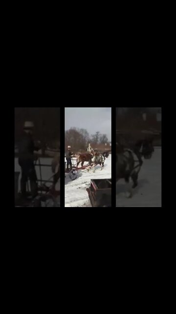 Amishman Winter Driving