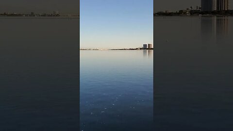 Port Orange Causeway Park #shorts