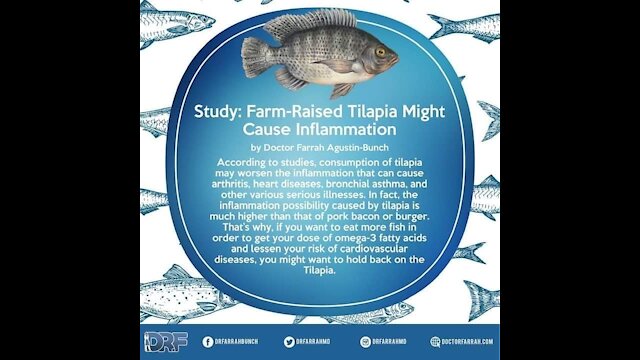Farm-Raised Tilapia Might Cause Inflammation