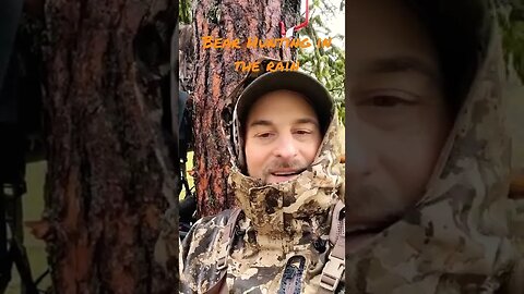 Bear Hunting in Pouring Rain | Memorial Day
