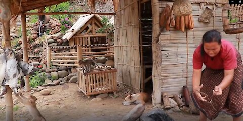 woman made bamboo hut & cooking duck with eggs -Eating delicious HD