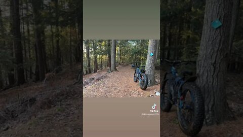 Never Ever! #fatbike #fatbikelife #bikelife #thuggooch #fatbackbike #fatbackrhino #yooper