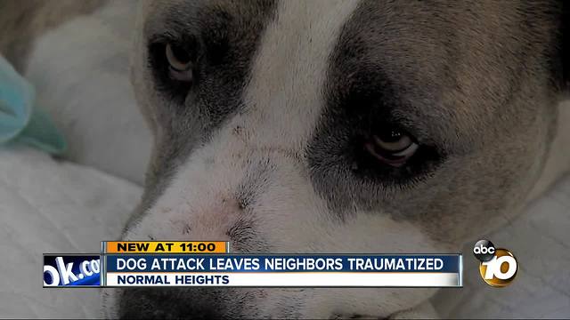 Dog attack leaves neighbors traumatized