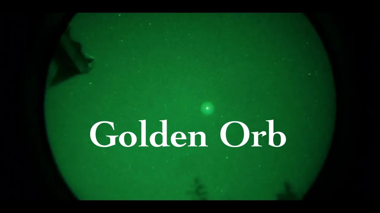 Golden Orb filmed by Jason Suraci