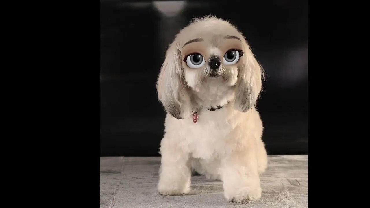 LIVE Dog with a Smile wilth Relaxation Soothing Music for Dogs to relax ~CHAT TTS