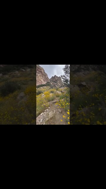 Hardest Hike in New Mexico | Organ Needle