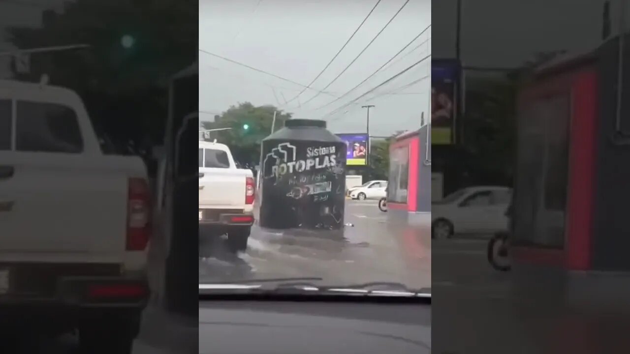 You won’t believe what happens next😱