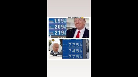 Trump 24/28