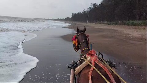 beach 🐎 riding