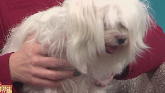 Humane Society of Tampa Bay