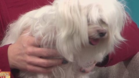 Humane Society of Tampa Bay